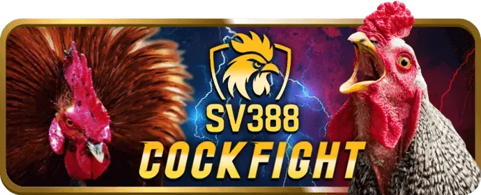 Các loại hình thể thao đa dạng tại win456 đăng ký